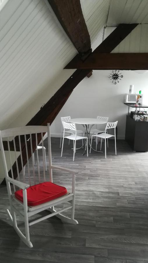 Appartement Spacieux Vue Sur Loire Proche Du Centre Blois Exterior photo