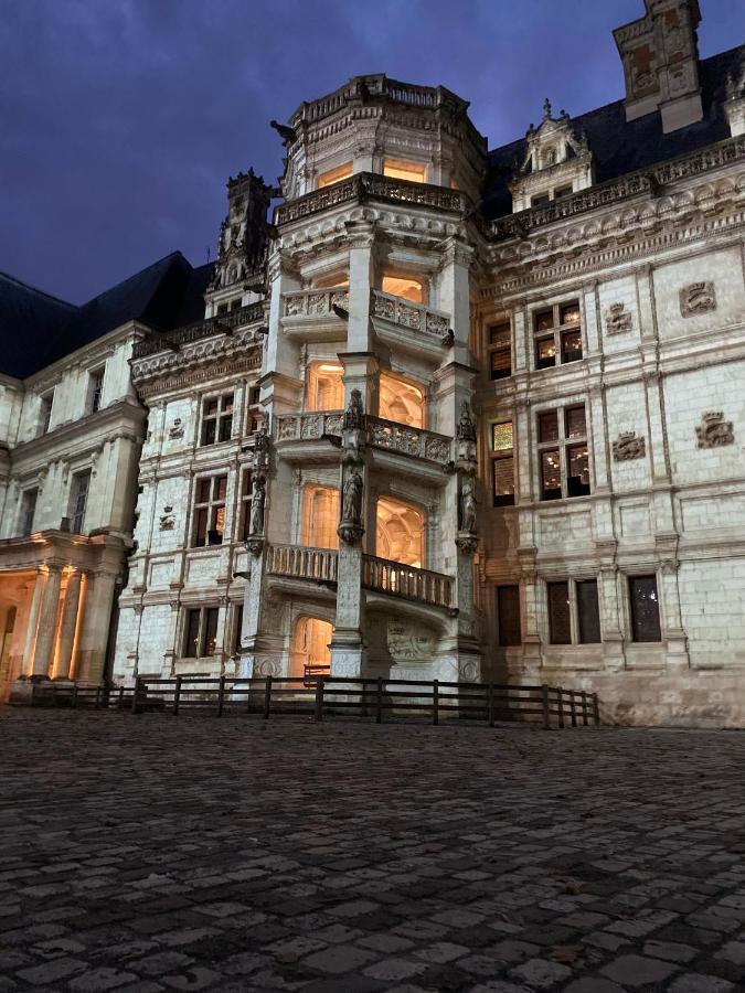 Appartement Spacieux Vue Sur Loire Proche Du Centre Blois Exterior photo
